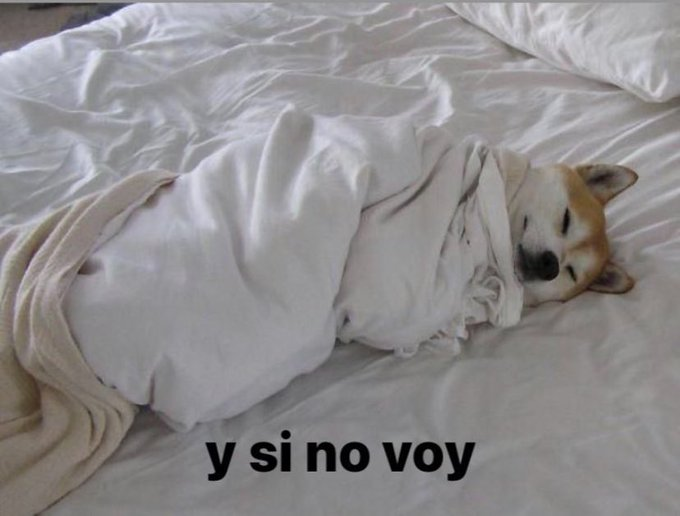 itsD3lay's tweet photo. yo cuando me suena la alarma https://t.co/4sE7gEmyGS