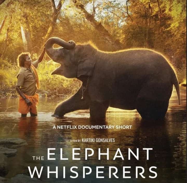 PrithviOfficial's tweet photo. Congratulations on the Oscar to the entire team of #TheElephantWhisperers ❤️❤️❤️ https://t.co/V6Mh4X2rD5