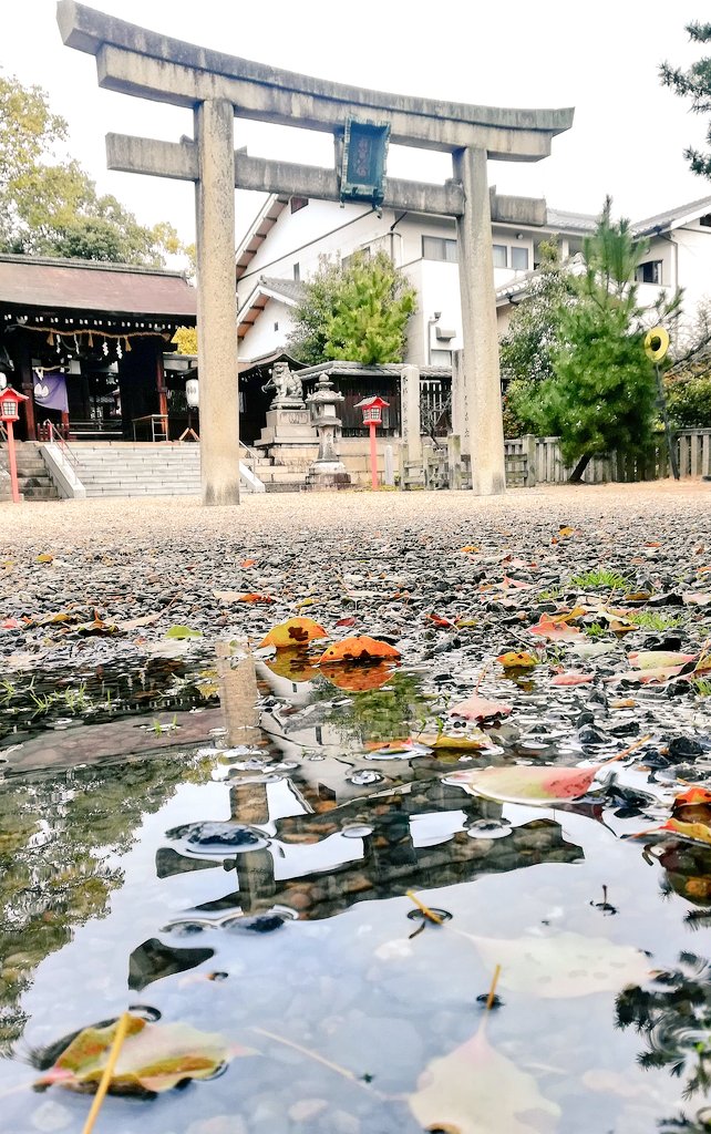 0pecosan's tweet photo. 雨上がりの水溜まりの中に
映り込んだ鳥居は
異世界の入口かも知れない
引き込まれそうな世界。 https://t.co/rNN85B6nLj