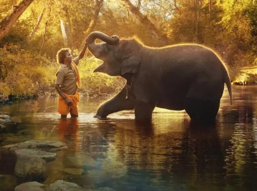 iamnisaarr's tweet photo. Finally, we did it... Best original song #NaatuNaatu and the best documentary short film #theelephantwhisperers 🙏... #Oscars #Oscars2023 #RRRForOscars #RRR #indiaatoscars #indiancinema 🇮🇳... https://t.co/HbsJKpgrxL