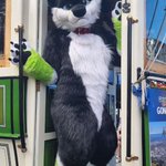 Photo by Kairo Fox! 🦊 (@KairoFoxeh)