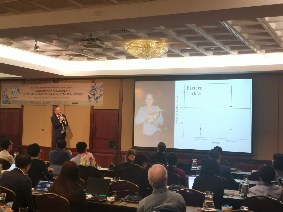 Birgita Hansen (@geethansen) on Twitter photo Prof Rich Fuller shares some good news about #easterncurlew with delegates at the <a href="/EAAFPSecretari1/">EAAFP Secretariat</a> #mop11 <a href="/vwsg_web/">Victorian Wader Study Group</a> <a href="/BirdlifeOz/">BirdLife Australia</a> Prof Rich Fuller shares some good news about #easterncurlew with delegates at the <a href="/EAAFPSecretari1/">EAAFP Secretariat</a> #mop11 <a href="/vwsg_web/">Victorian Wader Study Group</a> <a href="/BirdlifeOz/">BirdLife Australia</a>