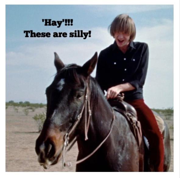 TorkTweet's tweet photo. 1/2 Your #SundaySillies. 😃 Enjoy! ❤ ~ptfb team
#ShineOn #TorkTorch #DJEMF
Q: Why did the pony get sent to his room?
A: He wouldn’t stop horsing around!
Q: What does it mean when you find a horseshoe?
A: A poor horse is going barefoot! https://t.co/n6CfFdgFif