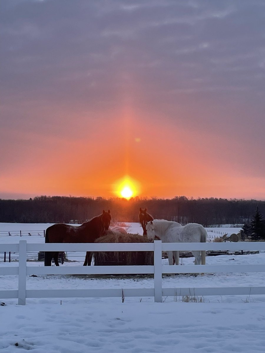 HarasimiukD's tweet photo. Heck of a sunrise 🌅🤩 https://t.co/UpVaXzpUun