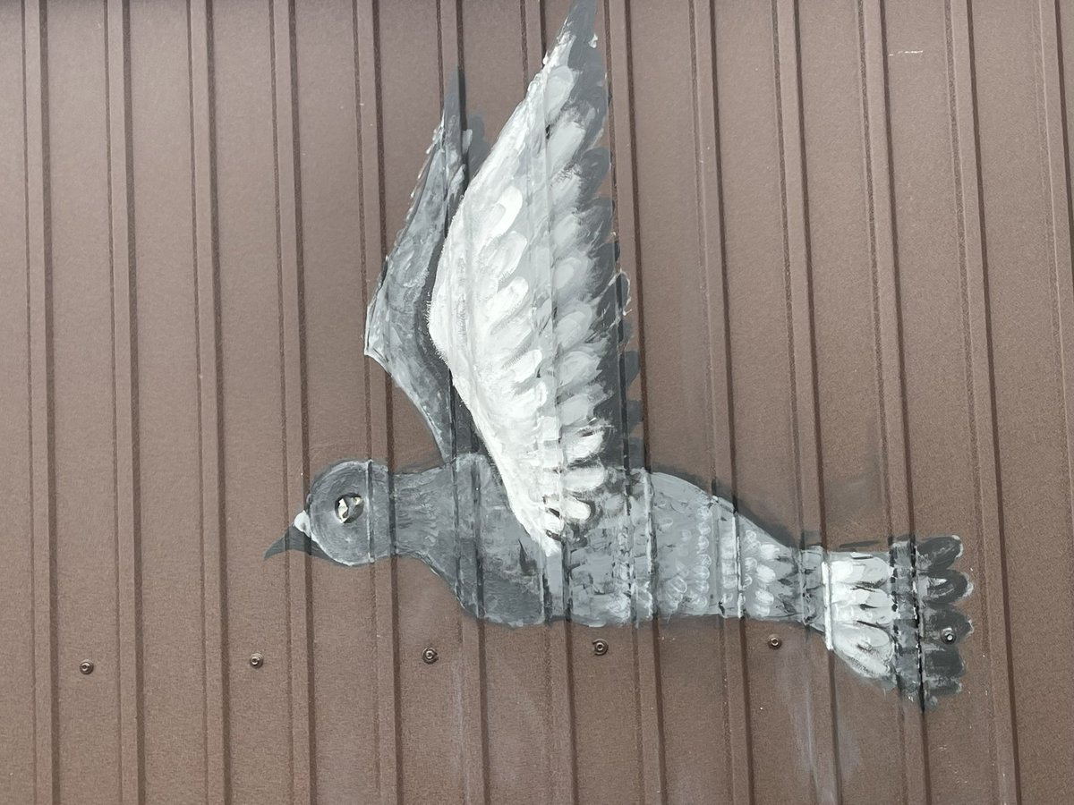 The eye of this pigeon is a actually a bullet hole in a Bucha gate. Those who survived Russia’s brutal occupation there a year ago now are trapped between the need to remember &amp; the need to forget given the horror of what went on. ICYMI our piece: 
m.youtube.com/watch?v=AuspnO…