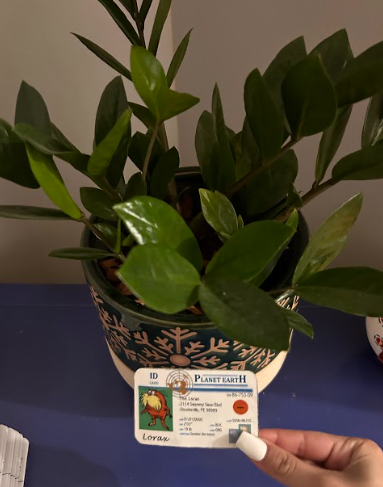 Natalie Santiago (@natalies721) on Twitter photo Plants need a lot of care! They also need to be taken care of with the right type of soil. By measuring the ideal PH level for soil can be a great way to keep your plants healthy and alive like this one here! #apesland <a href="/franklinlorax/">APES Project Lorax</a> #apesland Plants need a lot of care! They also need to be taken care of with the right type of soil. By measuring the ideal PH level for soil can be a great way to keep your plants healthy and alive like this one here! #apesland <a href="/franklinlorax/">APES Project Lorax</a> #apesland
