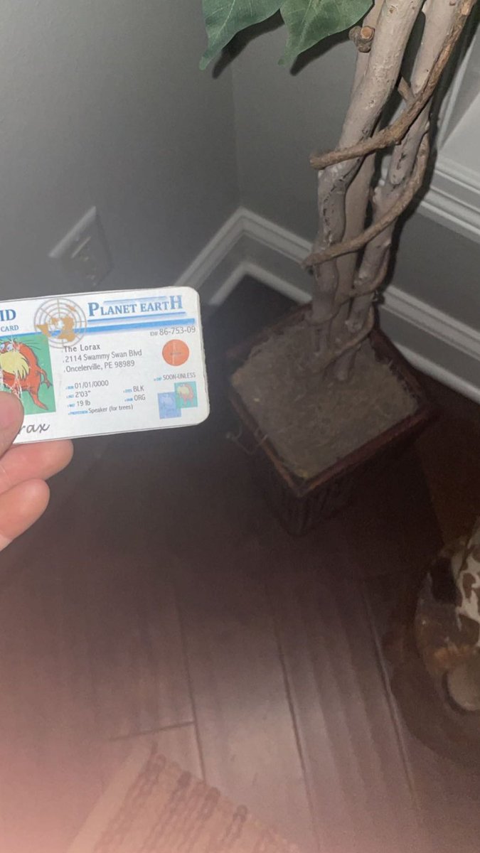 Savage_apes's tweet photo. the soil for this plant is very porous because it has a lot of sand. this is better for this plant because it takes water up its roots quickly. #apesland @franklinlorax https://t.co/5flE6y40sY