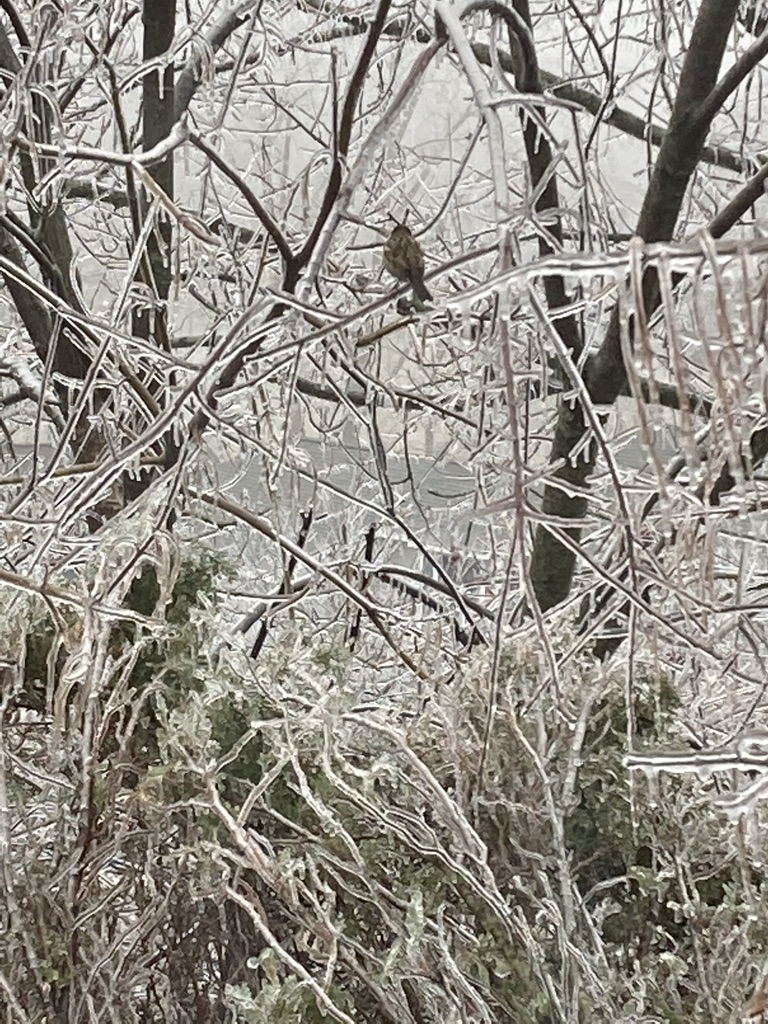 GCSSupply's tweet photo. Covid and climate has caused for some fashionistas to stay home or be out alone.  Stay warm, save money, shop resale, and look forward to spring... https://t.co/nWo86yAaN3