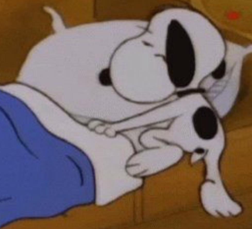 Cuando te vas a mimir porque mañana hay que hacer la madrugación.