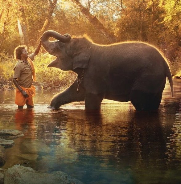 _lokeshsharma's tweet photo. Heartiest Congratulations to India’s #NaatuNaatuSong team for winning an #Oscar for Best Original Song at the #AcademyAwards. I congratulate film producer #GuneetMonga, who bagged the Academy Award for Best Documentary Short film - #TheElephantWhisperers. 
#Oscars95 https://t.co/bZVzfoYx4P
