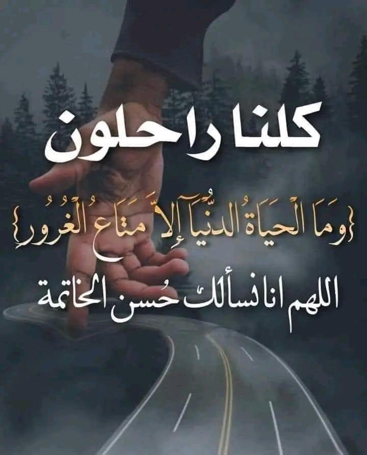 mohammedproxy's tweet image. 