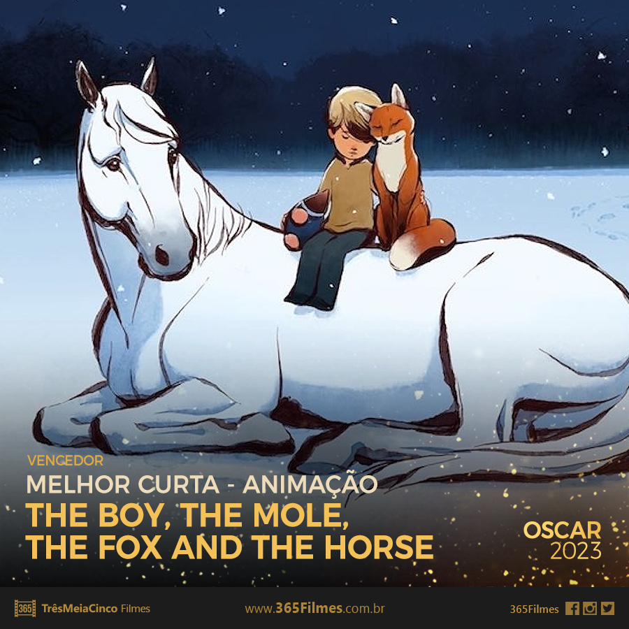 365 Filmes tweet media