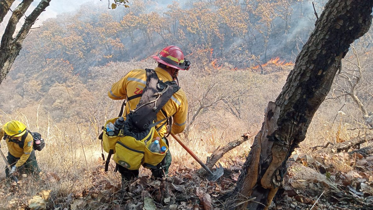 Un total de 40 hectáreas resultaron afectadas tras incendio forestal en Mesa de Los Indios, en el bosque de #LaPrimavera. Participaron 33 oficiales y el Tláloc y Witari hicieron 30 descargas