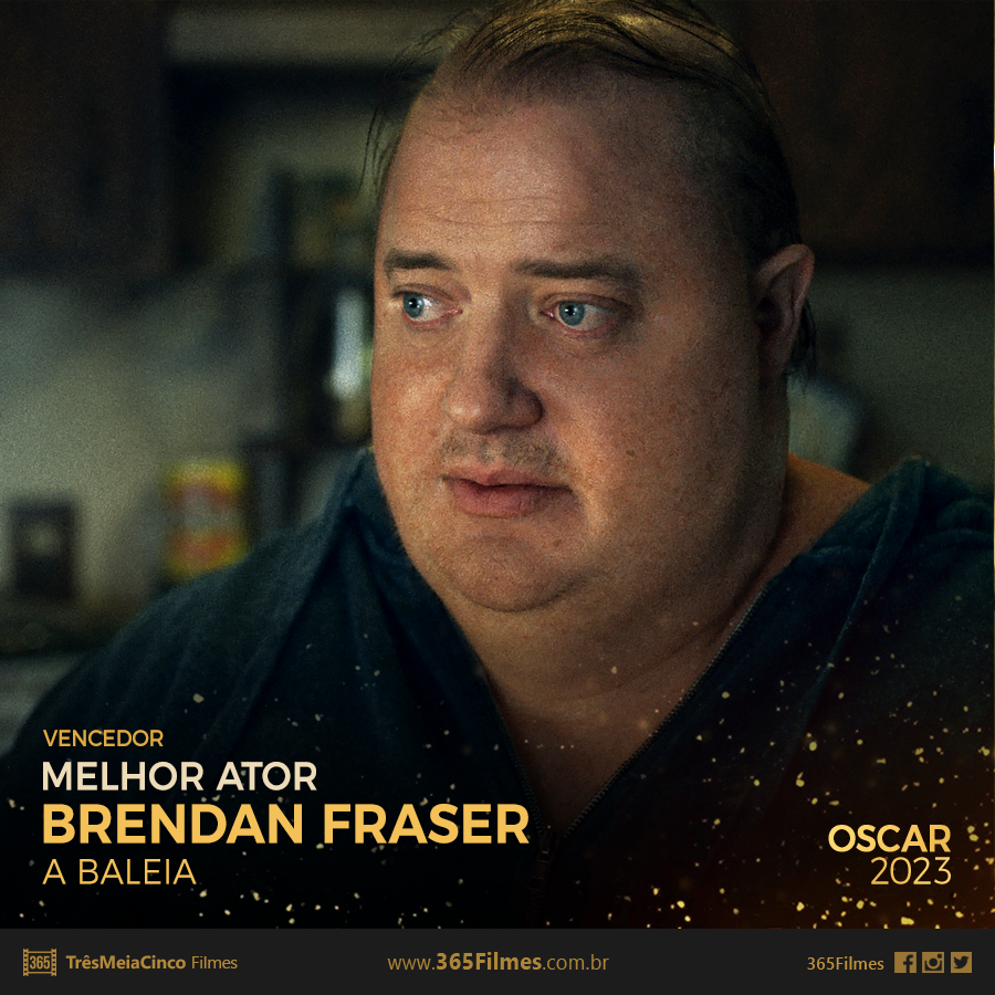 365 Filmes tweet media