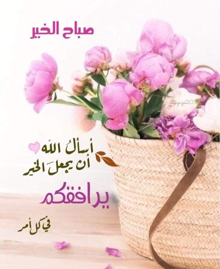 يخبرني الصباح 🌷🌷

أن السَّـعــاَدَةُ هِيَ*.'-
 *عَافِيَـةٌ فِي الدُّنيَا وعَفوٌ فِي الآخِرَة* 
-        *أَسأَلَ اللهَ لِي ولَگُمْ* 
- *العَفوَ والعَافِيـةَ فِي الدُّنيَا والآخِرَة َ*.🌷

            🌷صـبـاح الــخــير 🌷🕊

#صباح_الخيرᅠ
