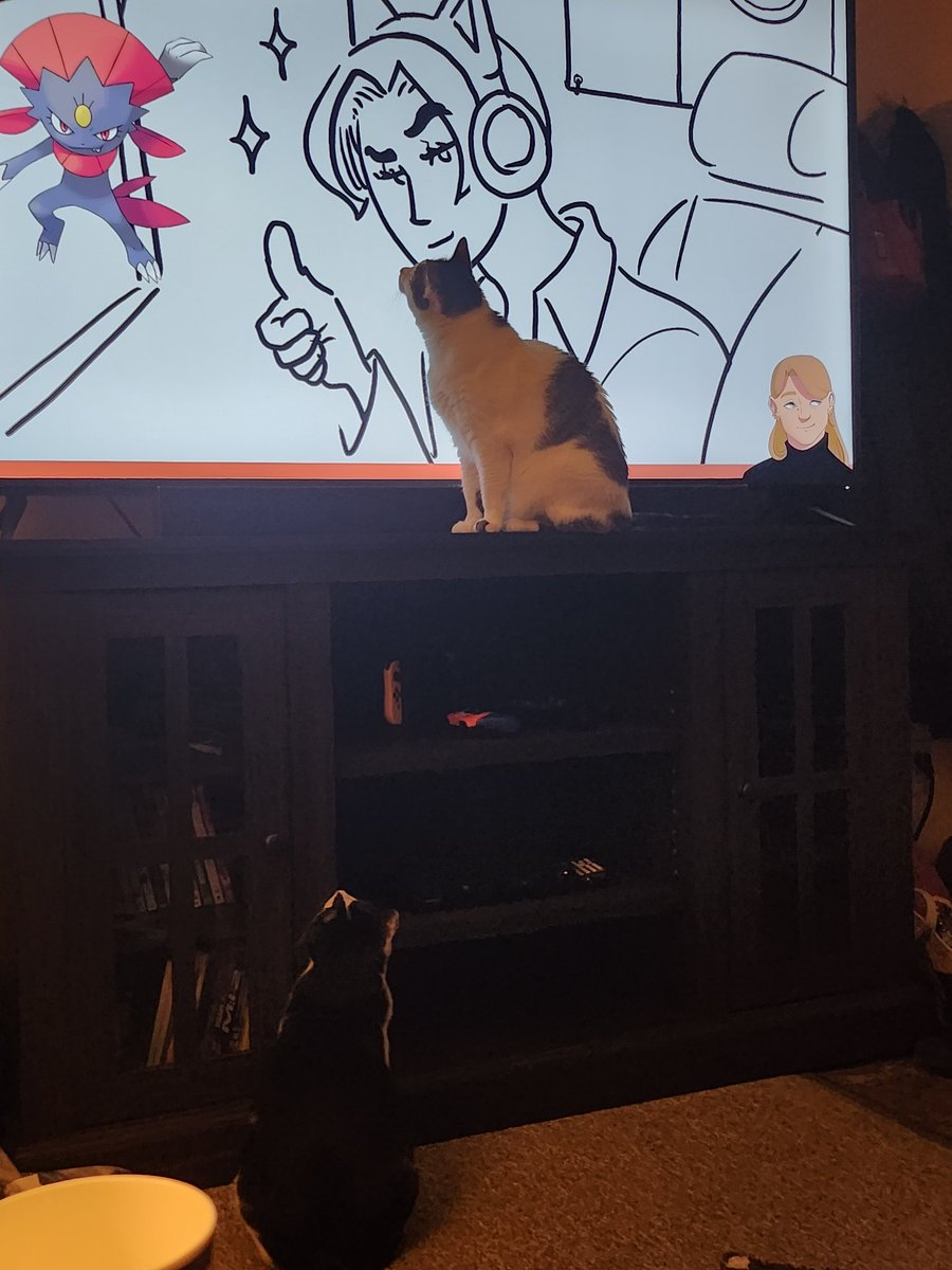 My cats enjoying <a href="/DrawfeeShow/">Drawfee Show</a> 
They are still figuring out this pogis name