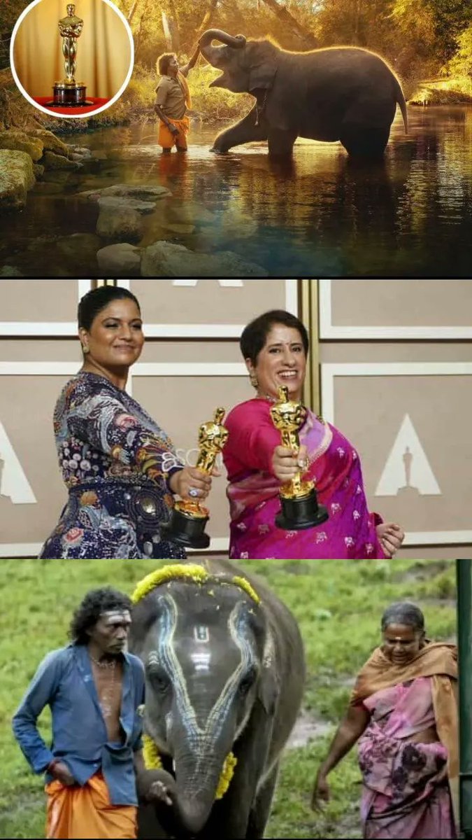 India wins its first Oscar of 2023 as @EarthSpectrum  and @guneetm   #TheElephantWhisperers ' bags an award for Best #Documentary  Short Film at the 95th Academy Awards #Oscars #Oscars2023 #India #KartikiGonsalves and #GuneetMonga's @ElephantWhisp3r