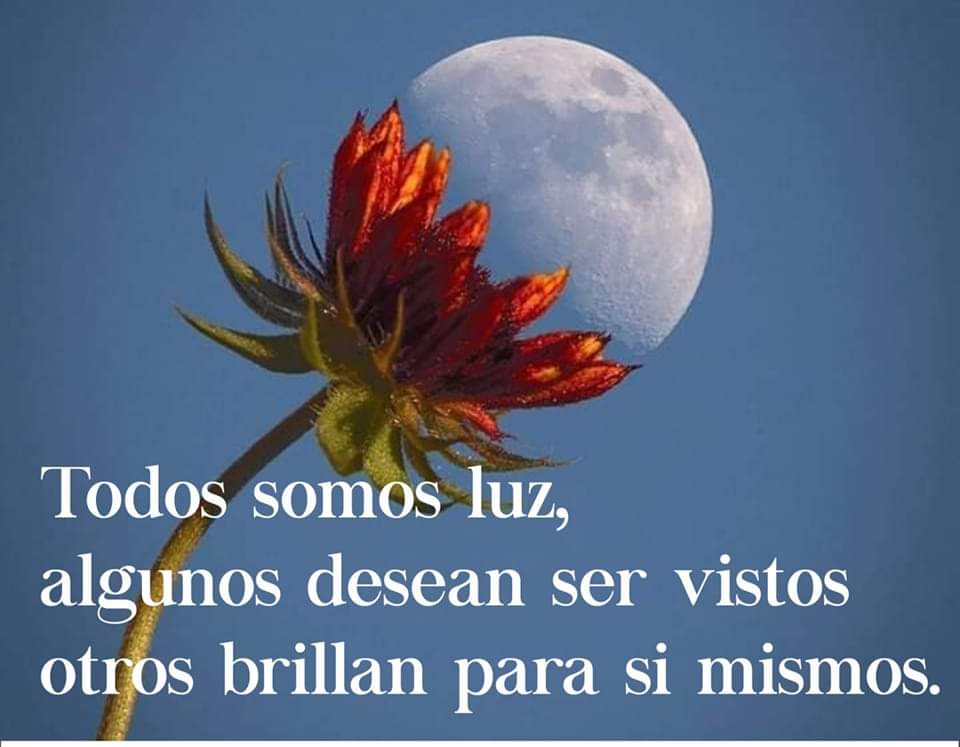 blancalmeida's tweet photo. https://t.co/3ydzLtEOr1