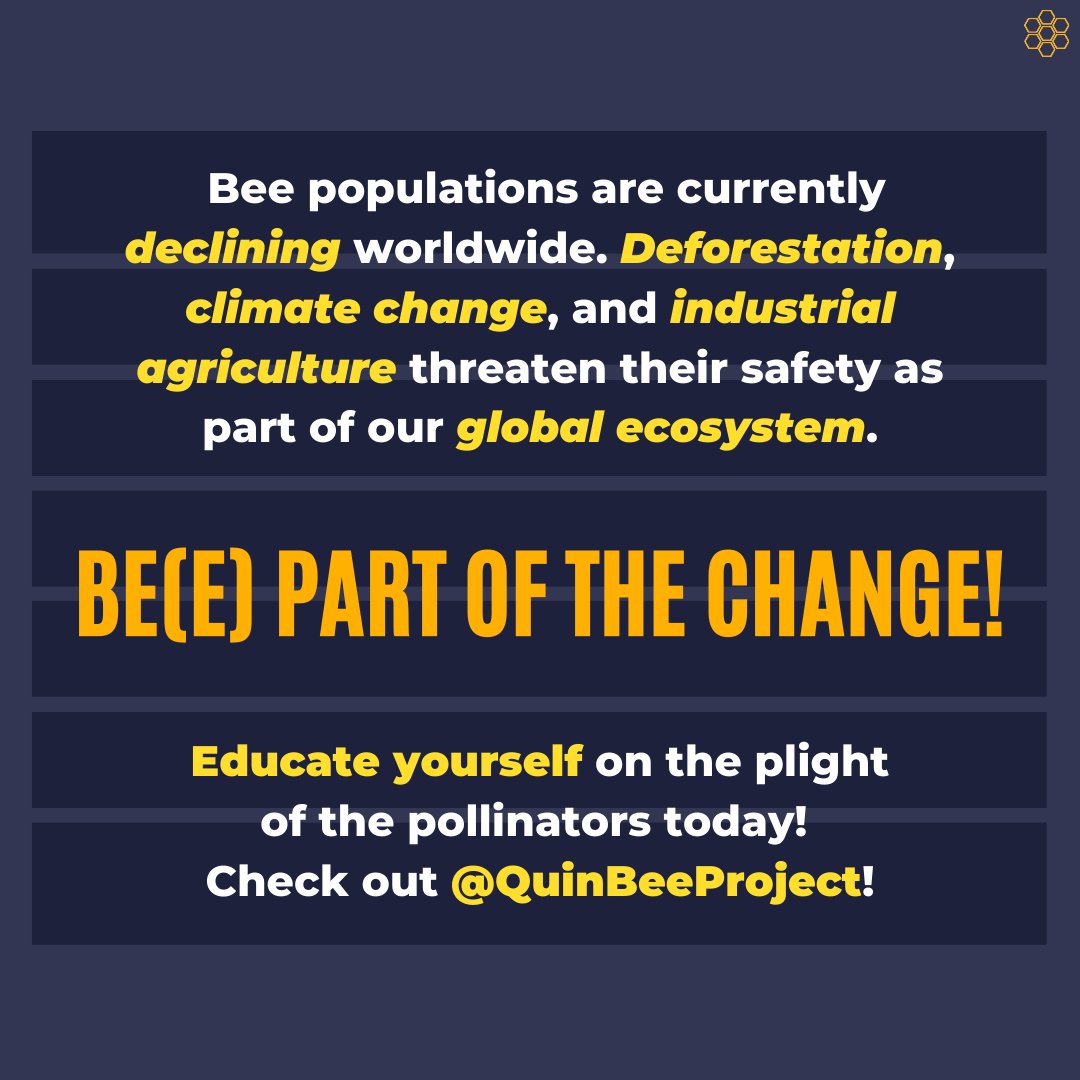 quinbeeproject's tweet photo. With global bee populations in decline, it's time for us to take action and protect these incredible creatures; before it's too late. 🐝🌎 (3/3)

#savethebees #beepartofthechange #pollination #globalwarming #deforestation #climatechange #climatecrisis #protecttheplanet https://t.co/ZQa7x2k6Wb