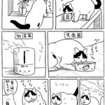 すごくバリエーション豊か･･･!愛猫のいろいろな水の飲み方を描いた猫漫画が話題に!