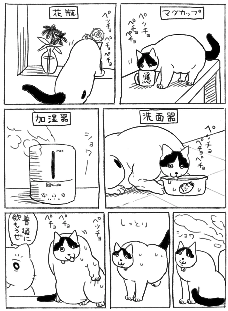すごくバリエーション豊か･･･！愛猫のいろいろな水の飲み方を描いた猫漫画が話題に！