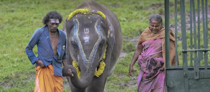 AskAnshul's tweet photo. Oscars 2023:

1. 'Naatu Naatu' from RRR wins the Oscar for best original song.

2. 'The Elephant Whisperers' wins the Oscar for best documentary short film. https://t.co/PtwYSZPmOs