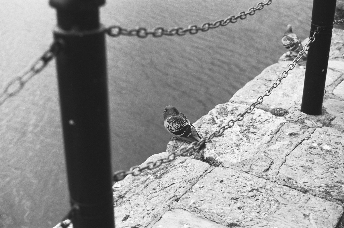 Jetpeggywb's tweet photo. Plymouth, 2023
#filmphotography #streetphotography #believeinfilm #filmisalive #filmisnotdead #monochrome #ilfordfp4 https://t.co/kaph9KhxDj