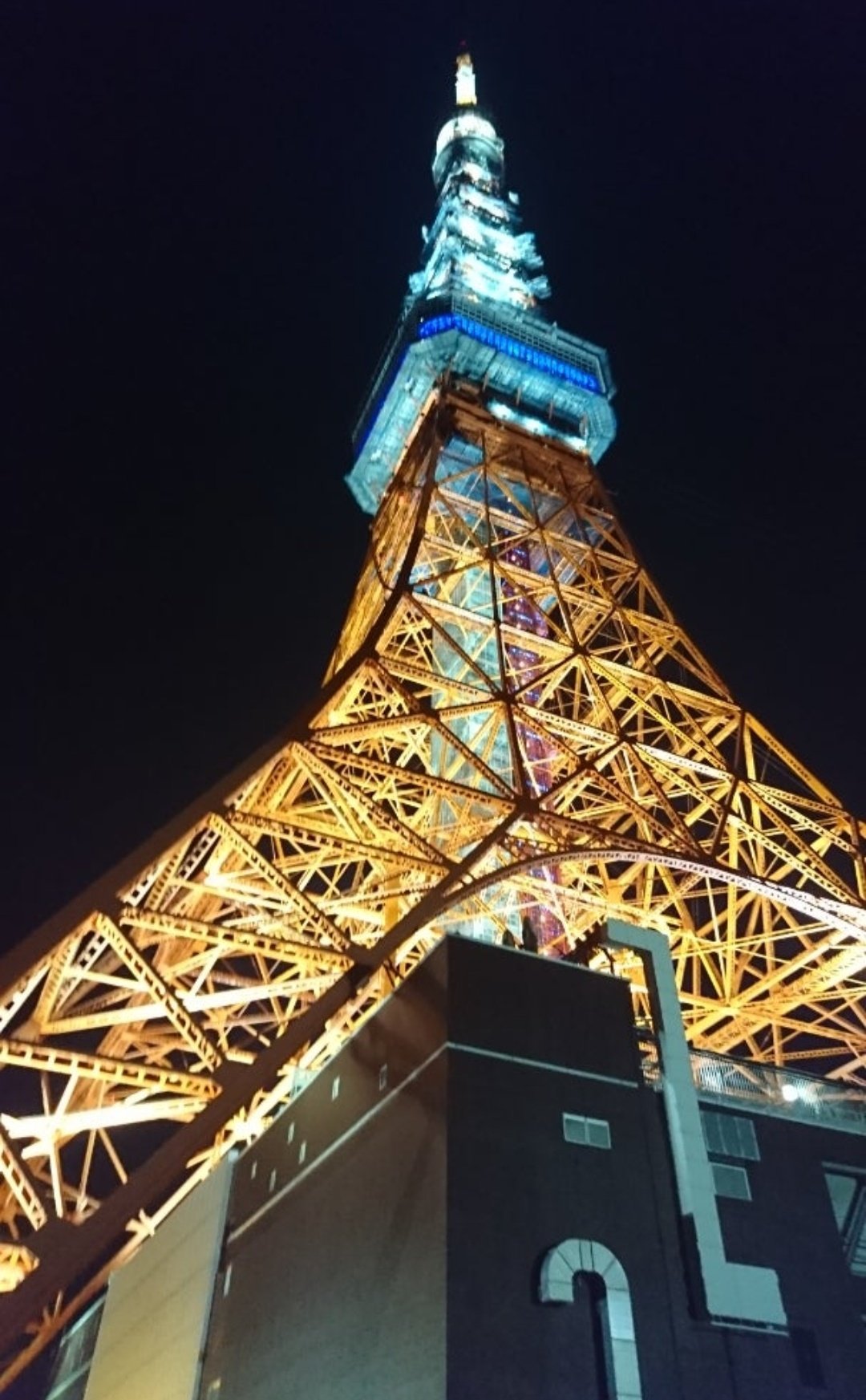 新品未開封✨ 東京タワーのワンピースタワーのトランプ 3月13日（金） 「東京ワンピースタワー」オープン記念史上初