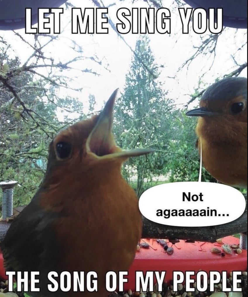 birdmemedaily (@birdmemedaily) / Posts / X