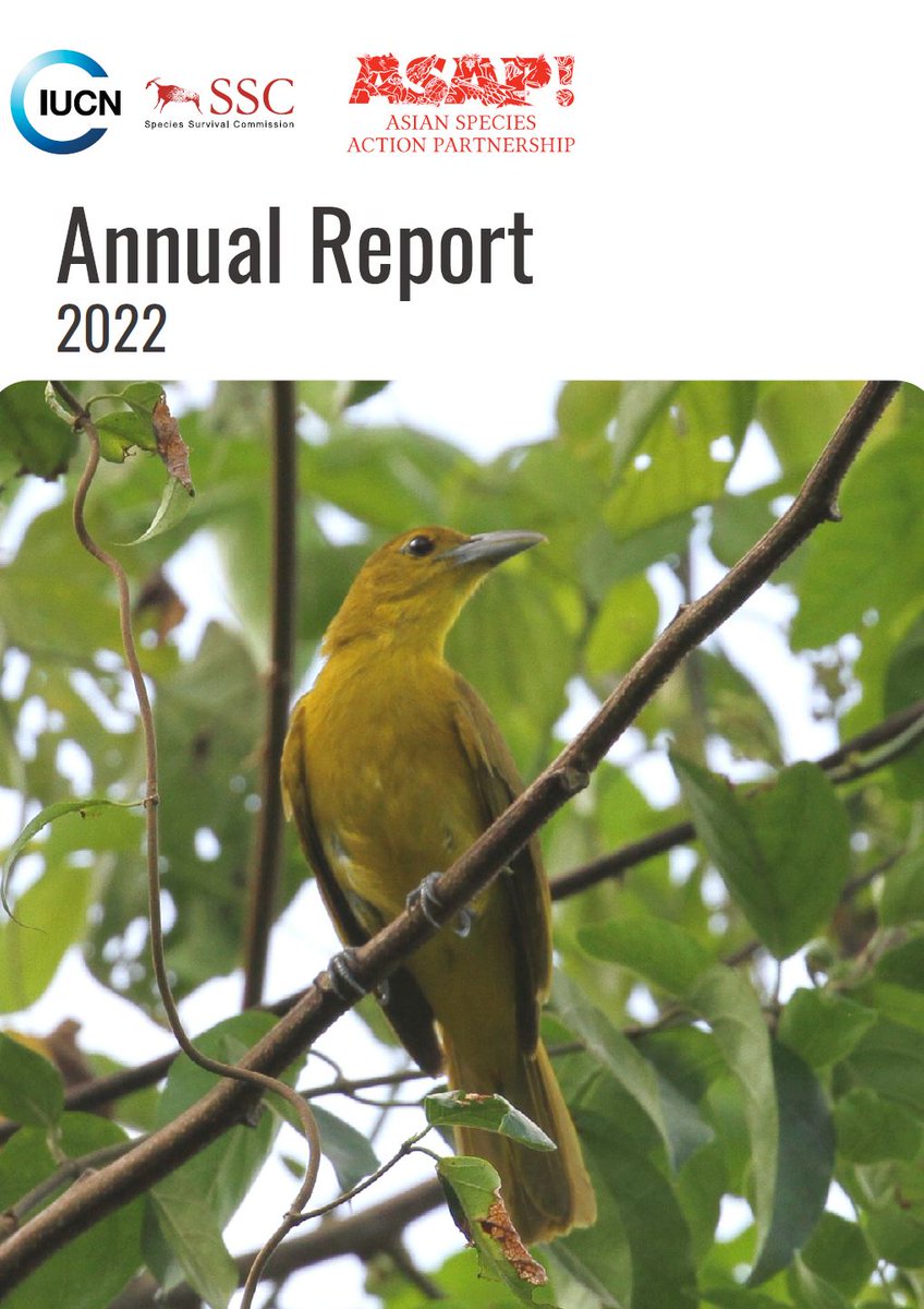 IUCN_ASAP's tweet photo. 📢Our 2022 Annual Report is here!

"2 years after awarding our first grants, I am delighted to see the fruits of projects we supported &amp; the impacts that they are having," said ASAP Director @nerissachao.

Read abt our activity-packed year &amp; plans ahead: https://t.co/4dbJ2M2jED https://t.co/zMsaEaeDW3