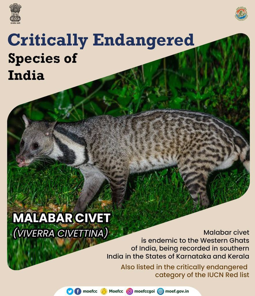 Critically Endangered Species of India #ConserveWildlife