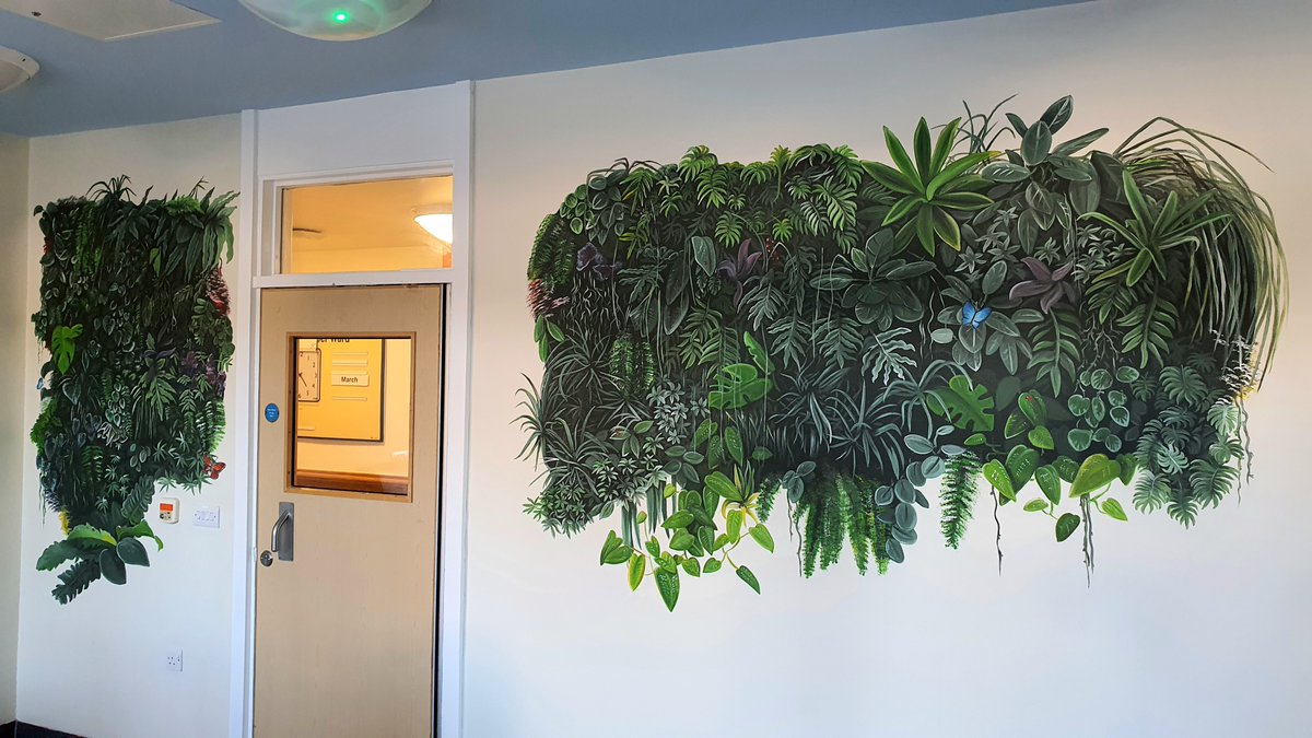 Live Team tweet media