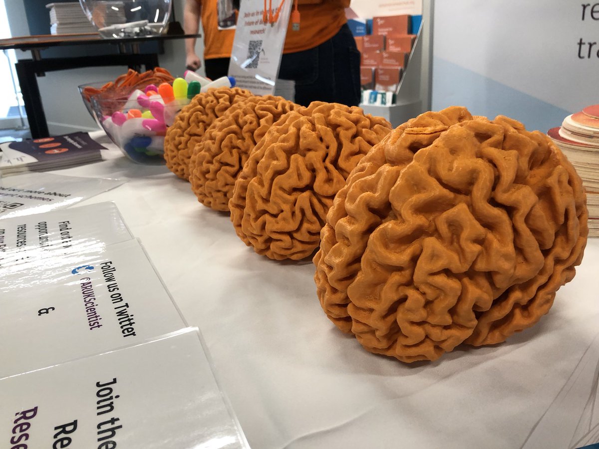 Sybille Marchese (@sybillemarchese) on Twitter photo It’s time for the #ARUKConf23! Come and see some cool science from <a href="/pietroesposit11/">Pietro Esposito</a> <a href="/vvmetodieva/">Vanya</a> and myself from the <a href="/VarelaLab/">Varela Lab 🧠🔬</a> at poster numbers 1.33, 1.10 and 6.1! <a href="/ARUKscientist/">Research at ARUK</a> It’s time for the #ARUKConf23! Come and see some cool science from <a href="/pietroesposit11/">Pietro Esposito</a> <a href="/vvmetodieva/">Vanya</a> and myself from the <a href="/VarelaLab/">Varela Lab 🧠🔬</a> at poster numbers 1.33, 1.10 and 6.1! <a href="/ARUKscientist/">Research at ARUK</a>