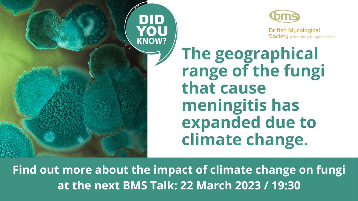 Just one week to go until @dwdenning tells us how climate change has affected the spread of fungal pathogens. Don't miss this BMS Talk: 22 March at 19:30. Online, free, and all are welcome: britmycolsoc.org.uk