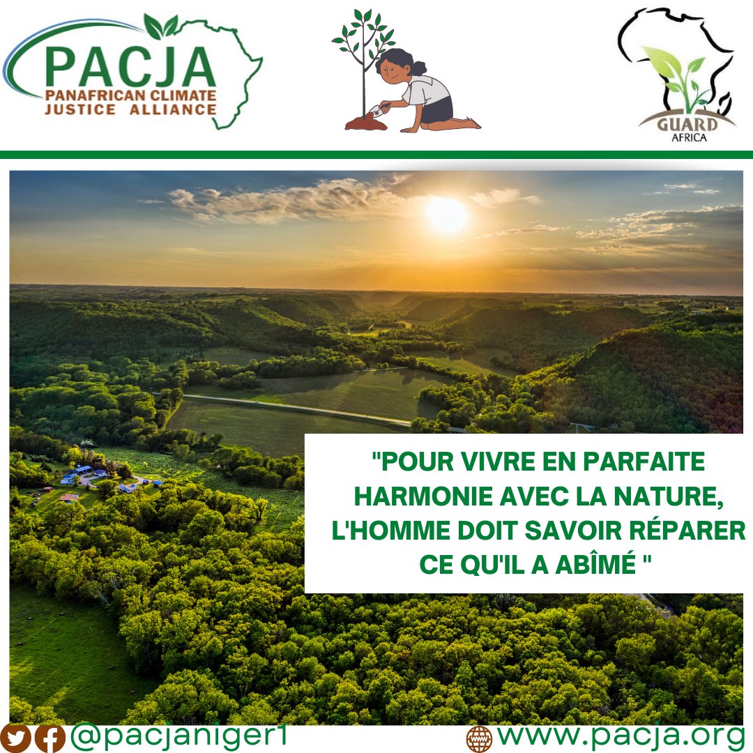 Pacjaniger tweet media