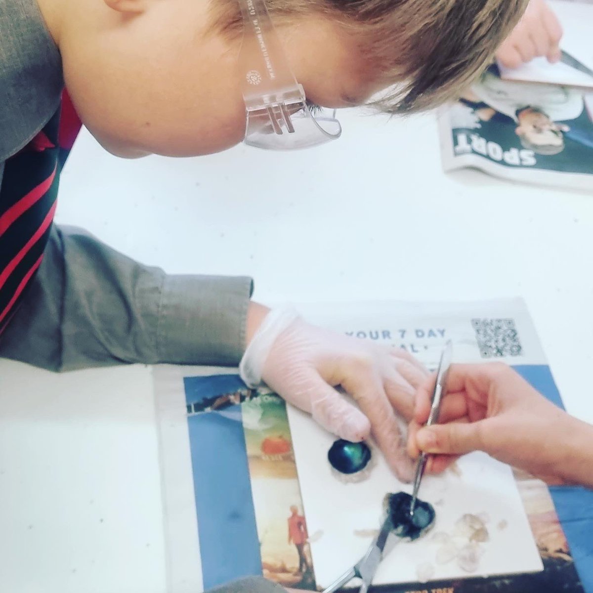 ArnoldHouseSch's tweet image. Year 6 have been learning about how eyes see objects. They dissected a sheep&apos;s eye to look at its anatomy. #scienceweek #year6science #sciencepracticals #sciencedissections #arnoldhouseschool
