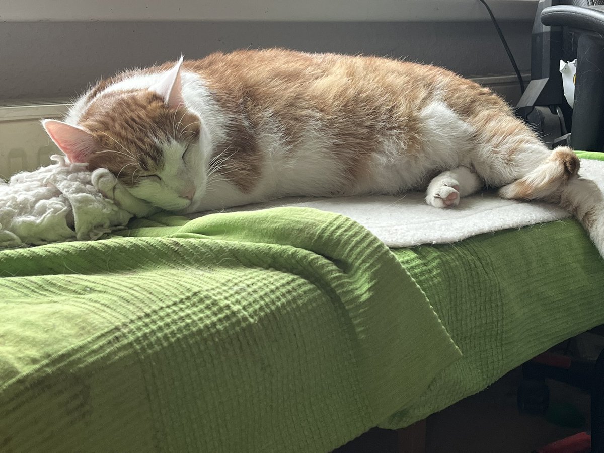 Thym15's tweet photo. Ich wünsche euch eine schönen Montag ❤️ https://t.co/qQhD3BNNxt