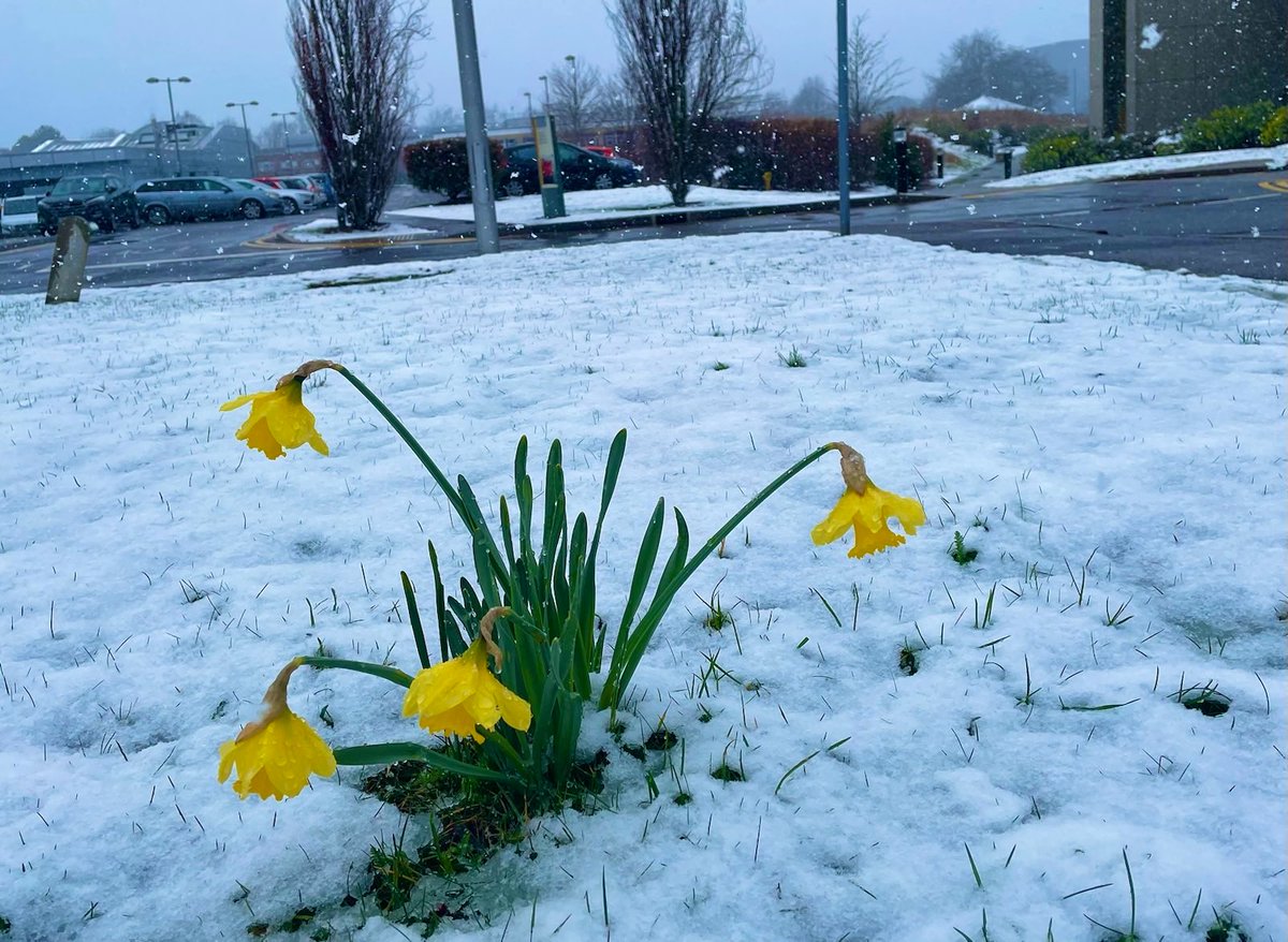 Carine De Marcos tweet media