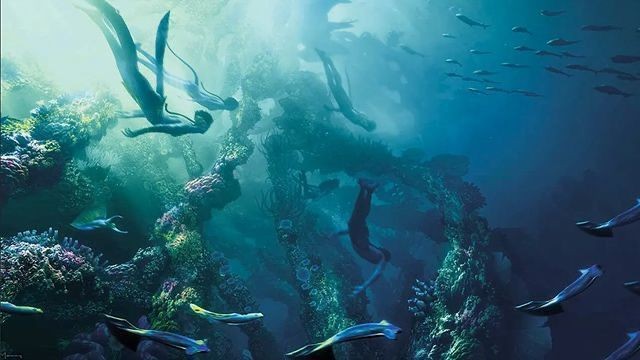 — 𝑇𝑠𝑜'𝑤𝑎𝑟𝑖 𝐒𝐭𝐨𝐫𝐲

น้อยมากนักที่จะมีนาวีที่ไร้ครอบครัว บุตรสาวฝาแฝดเป็นหนึ่งในนั้น พวกนางสูญเสียพ่อแม่ไปตั้งแต่ยังเล็กแต่มีเพียงสองพี่น้องมาโดยตลอด

โซวารีเป็นพี่คนโตที่คอยดูแลเรื่องในมารุยทุกอย่าง ส่วนน้องสาวของนางไปทางดูแลเรื่องการใช้แรงต่างๆ