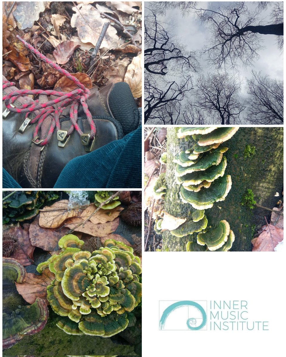 ... durch sie und mit ihr. Tiefes Lauschen. Takt weicht dem Puls...🌿