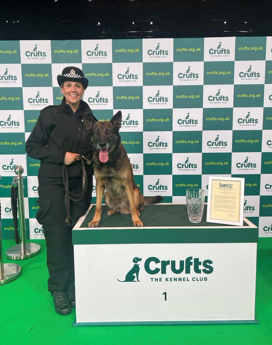 PSOSDogs's tweet photo. #PDBen and PC Fulton won @PoliceChiefs Dog Team of the Year, presented at #Crufts🥇

The pair saved a vulnerable missing woman in South Lanarkshire, despite PC Fulton suffering a broken heel bone and torn ligaments.

Read more here: https://t.co/wliicg1ch9 https://t.co/vsVBXNI1hB https://t.co/vPRWsxtS6r