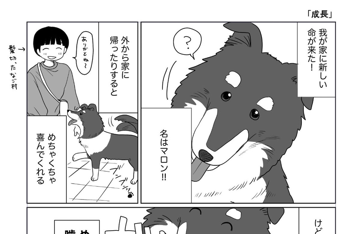 28日吉祥寺に来てください!!メイドやってます、新刊やステッカーあります、チェキ撮れます、よろしくお願いします😊

固定ツイートに詳細あります‼️ 
