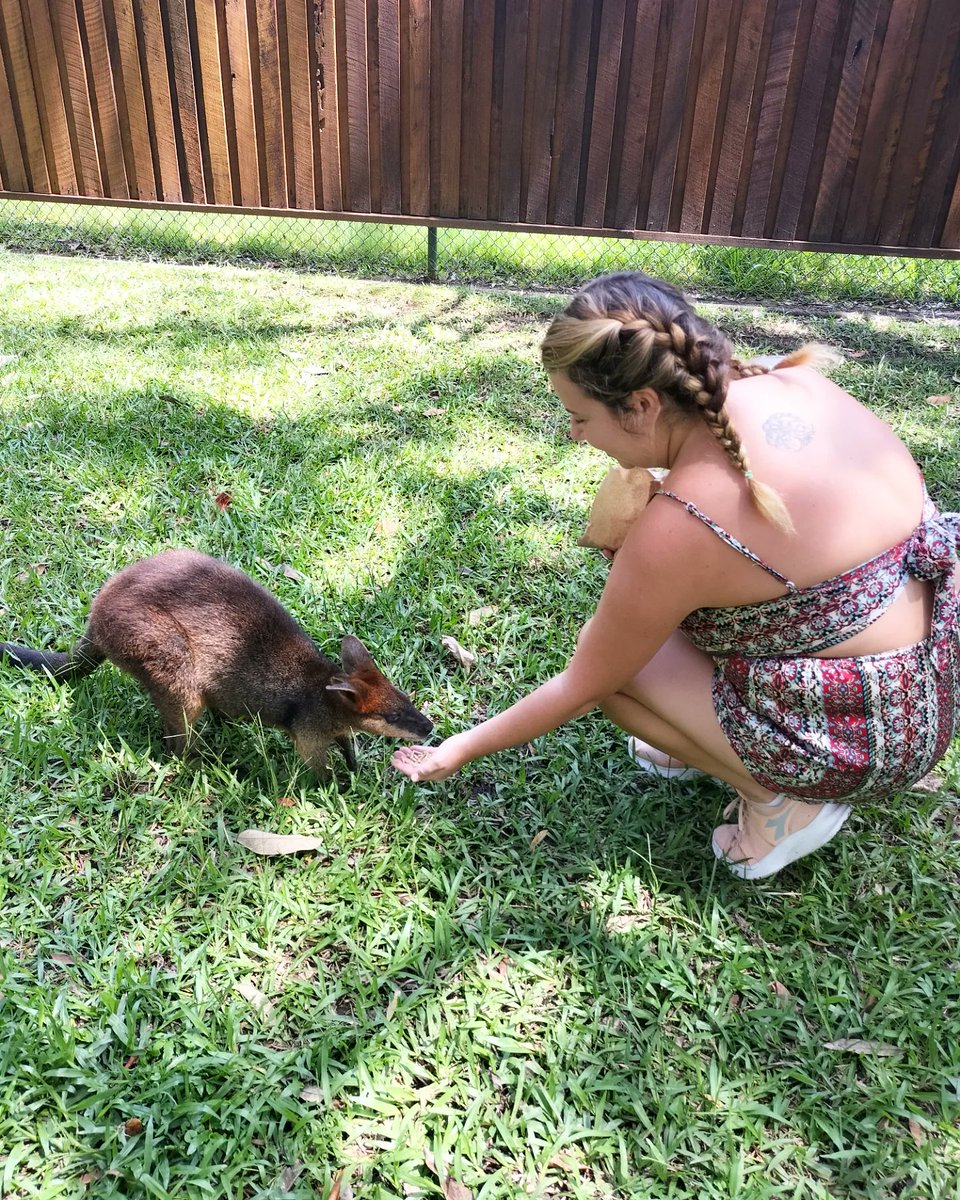 Perfect day out at Steve Irwin's Australia Zoo 🇦🇺😍