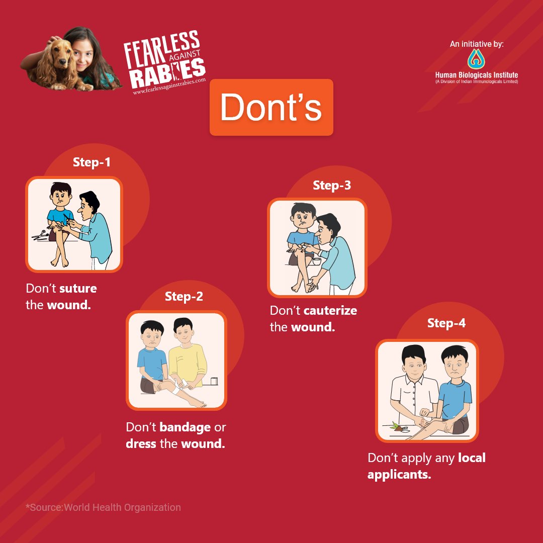 F_AgainstRabies's tweet photo. Bitten by an animal? 🐕
Do's and Dont's you should follow ⬇️
Know more at: https://t.co/VqhUbef7JJ
#fearlessagainstrabies #rabiesfree #rabiesawareness #animalbites #befearless #preexposurevaccination https://t.co/XwaqOoiCfW