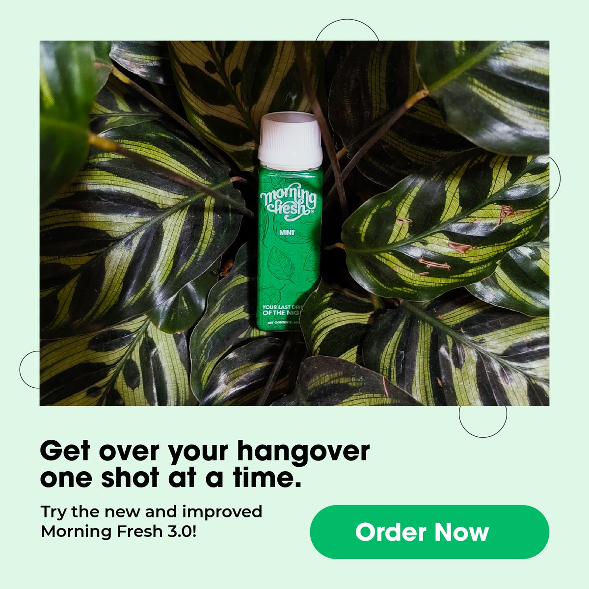 MorningFreshInd's tweet photo. Have you tried Morning Fresh 3.0 yet? 
Same easy-to-use bottles
🌱natural ingredients
👅 But now, it's super-tasty! 

Order your Morning Fresh 3.0 shots today, exclusively available on our website. 

#MorningFresh3.0 #SubscribeToFresh #WakeUpFresh
#StayHydrated #DetoxDrink https://t.co/TnlEQhE5fm