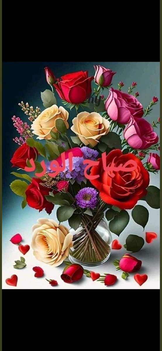 @abdoul abdoul 31 tweet media