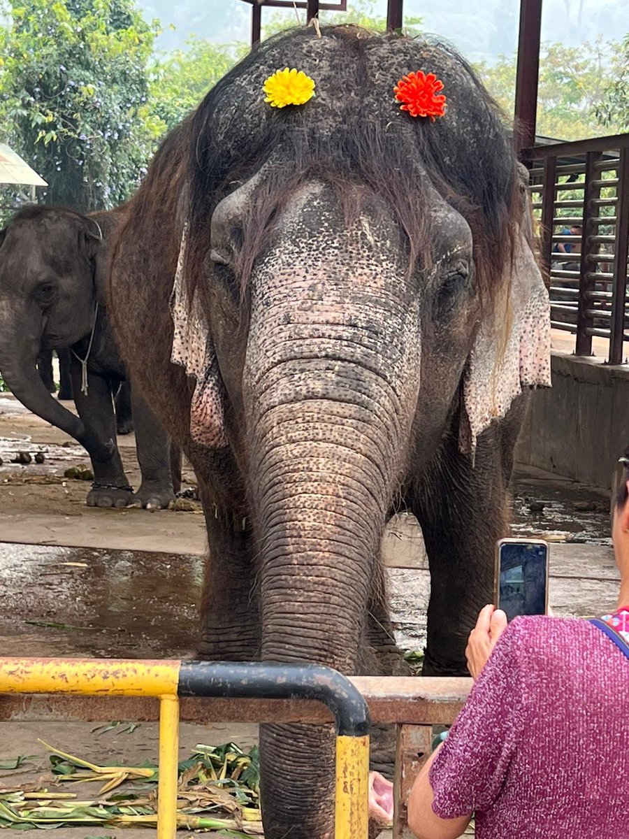 Griffin Lab tweet media