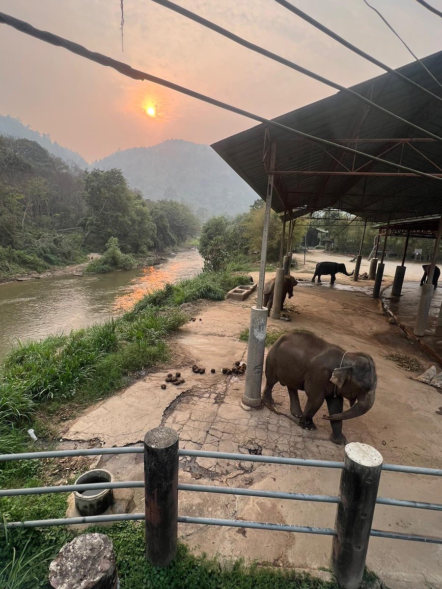 Griffin Lab tweet media