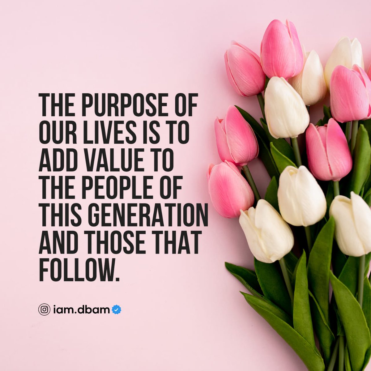 Ademolacode's tweet photo. _One of the greatest things that we can do in life is to add value to everyone we meet._ 

 *Be a Man/Woman of value!* 

Happy New Week!

@iam.dbam
@dbam_designs https://t.co/Cq6uTUJ8CU