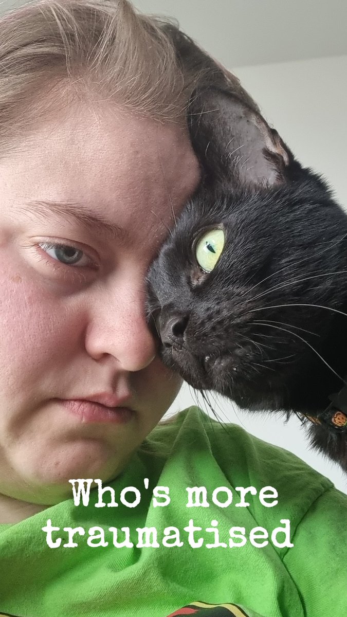 NeonKingCaz's tweet photo. #ChazThoughts #chaz #cat #bombaycat #blackcat #twitch #streamer #gaymer #lgbtqia #snteam #sausagenebula #neonkingcaz #UK #lesbian #begoodpeople https://t.co/Fy0jZ1Qdaq